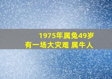 1975年属兔49岁有一场大灾难 属牛人